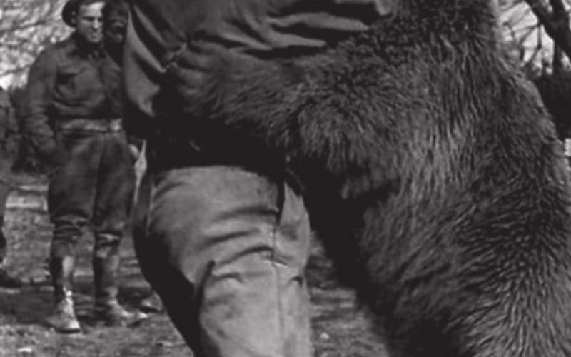 Wojtek
