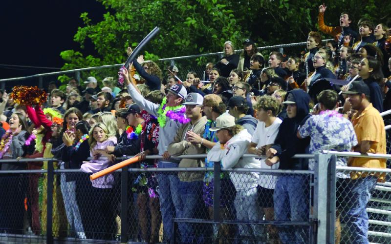 The Tiger band and CHS student section cheer on the Tigers from the stands.