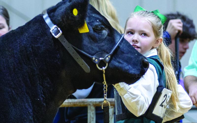 Laynie DeMuth of Perkins stands with her Angus heifer during a recent livestock show. DeMuth is a new junior member of the American Angus Association and participates in youth cattle programs and competitions across the region.