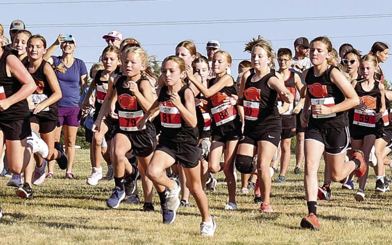 Literally dozens of young Tigers ran in the K-middle school race, out numbering the rest of the field five-to one.