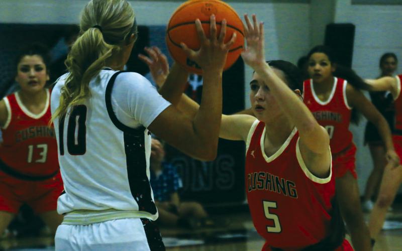 Cushing’s Remi Powell guards Lady Demon Kyndall Marshall on the perimeter. Photo by J. D. Meisner