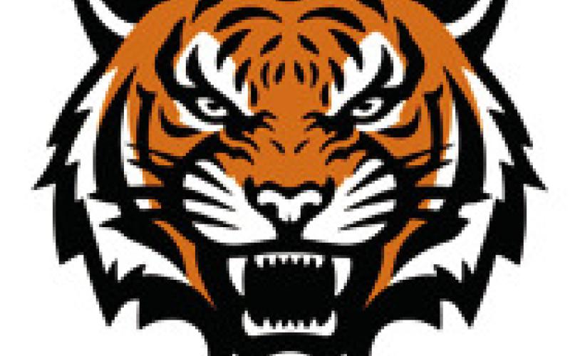 Lady Tiger track season ends at state