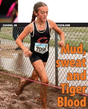 Mud, sweat and Tiger Blood