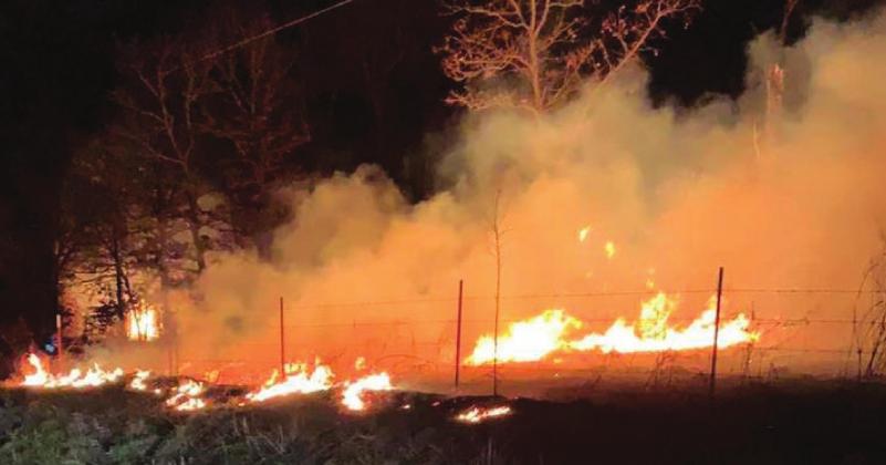 Grass fire threatens structures and cattle