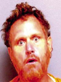 DAVID MCCHESNEY Tryon. Enter structure with intent to commit crime/breaking and entering.