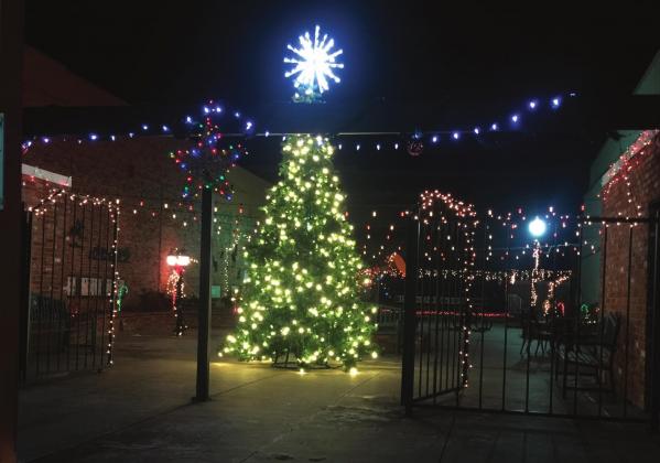 Tree Lighting brightens Centennial Park