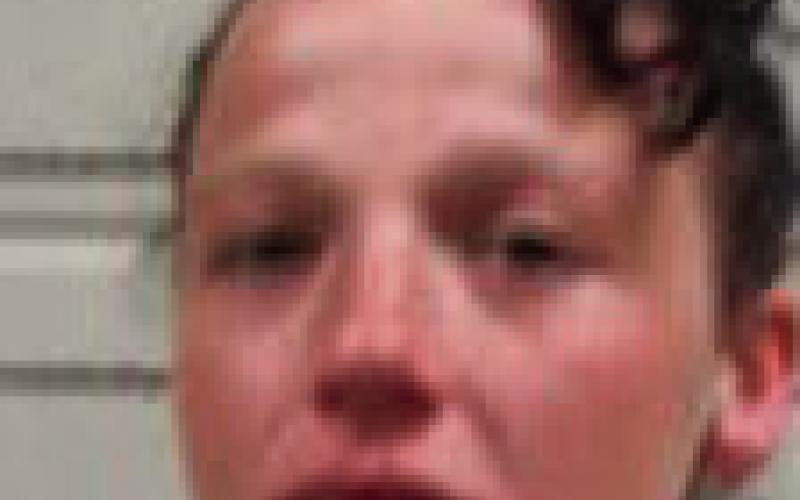 COURTNEY JEAN BROWN – 29 Trespassing