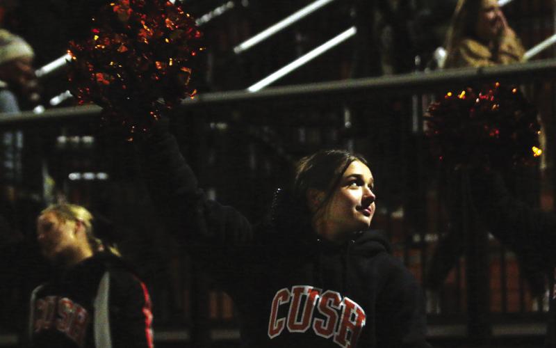 Tiger Dance Team member Georgia Griffith makes sure the loud crowd is keeping up during the final minutes of the third quarter.