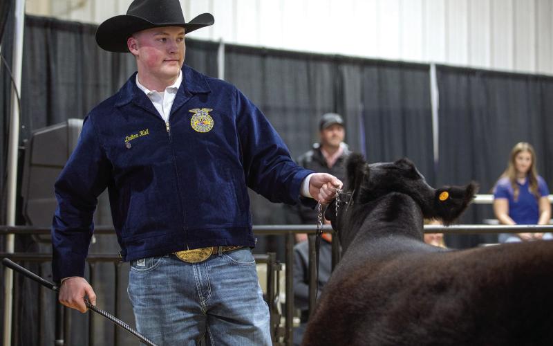 Dalton Hall of Ripley shows his heifer. Hall placed second in Maintainer Beef Heifer Class 2 and also had placings in Simmental Influence and Commercial Beef Heifer classes. Photo by Meagan Stephens.