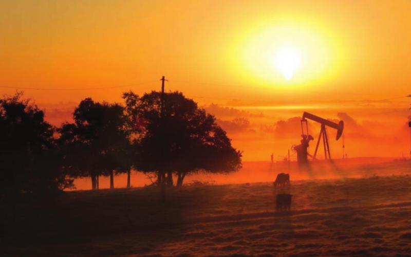 ENERGY WATCH