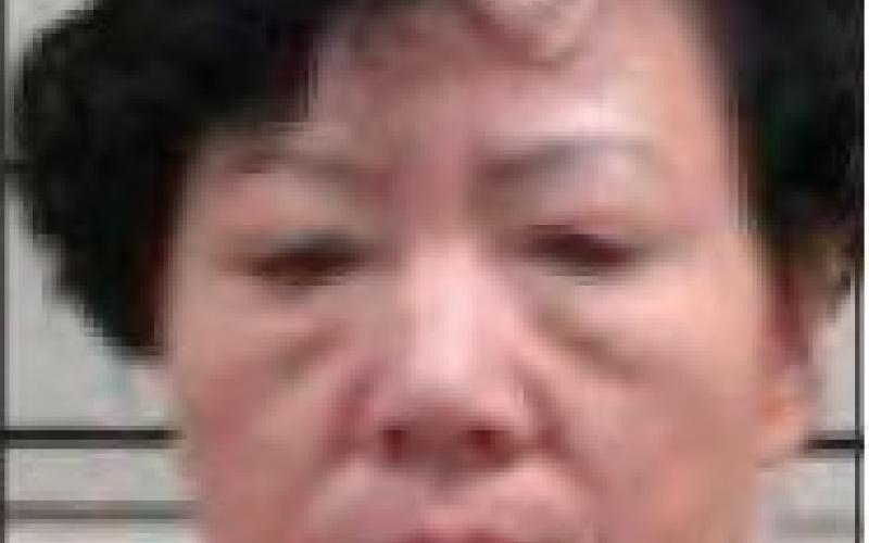 Huixiang Sun—48 Driving under suspension, Speeding