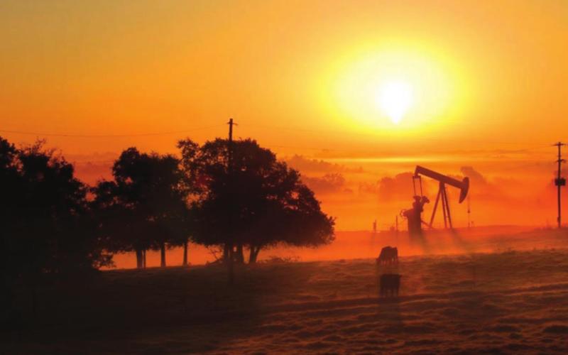 ENERGY WATCH