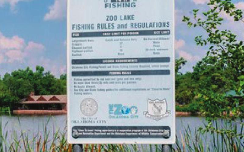 Close to Home waters offer opportunities for urban dwellers to share their fishing heritage with others. Anglers wanting to cast a line and save on time can find their new favorite Close to Home fishing spot.