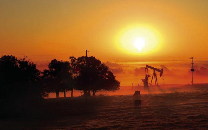 ENERGY WATCH