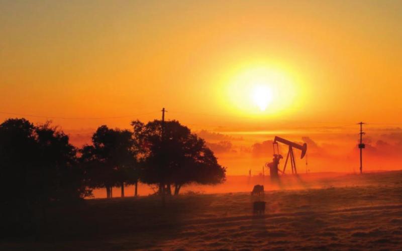 ENERGY WATCH