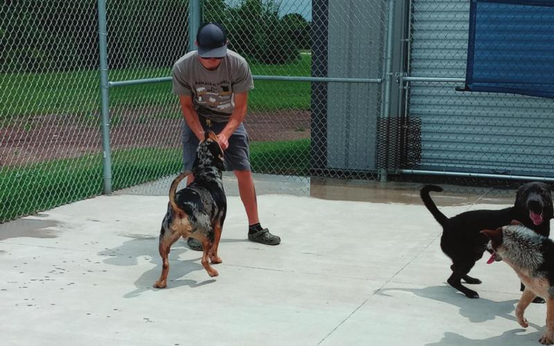 Animal control officer Cody Dallos plays fetch with the dogs being housed by the Animal Services Unit shelter in Cushing.