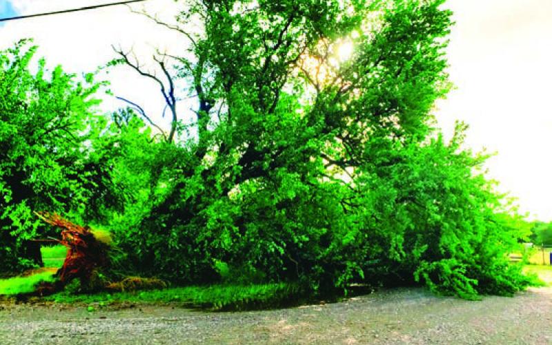 Cushing Storm Damage