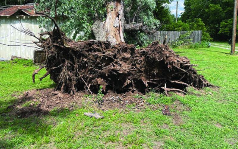 Cushing Storm Damage