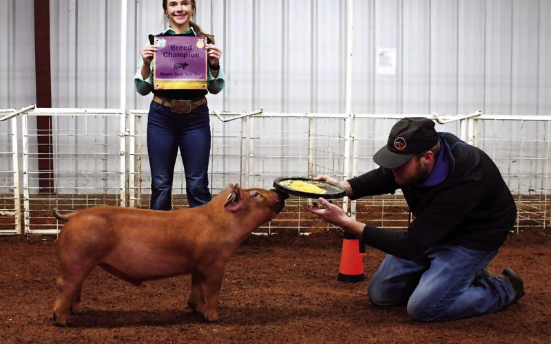 Three members of the Cushing FFA Swine Show Team traveled to Mannford for the first swine jackpot of the Season. Together, they came home with several first, second and third place ribbons in their respective classes. Junior Melannie Townes brought home Breed Champion with her Duroc. Photos by Sarah Townes.