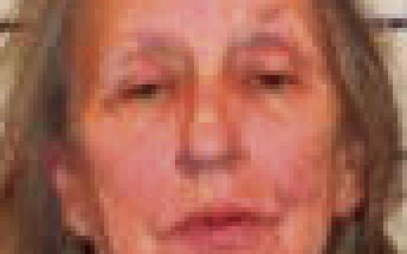 GENA KAY STIDHAM 60 - driving under suspension