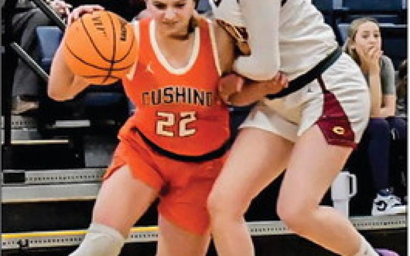 Lady Tiger Macie Towns dribbles around a Clinton defender on her way to the rim.