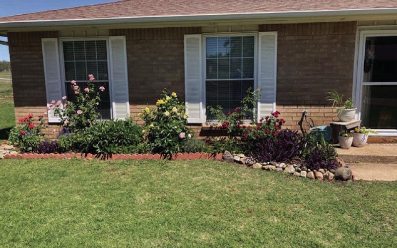 The yard of Tammy and Bryan Linderman.
