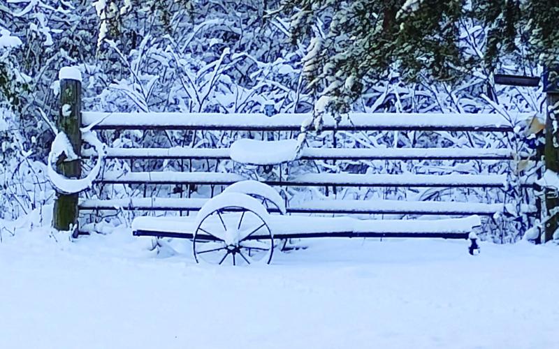 Snow blanketed Oklahoma last week. Cushing residents had reports of three to six inches of snow. Photo courtesy Etha Tinnie