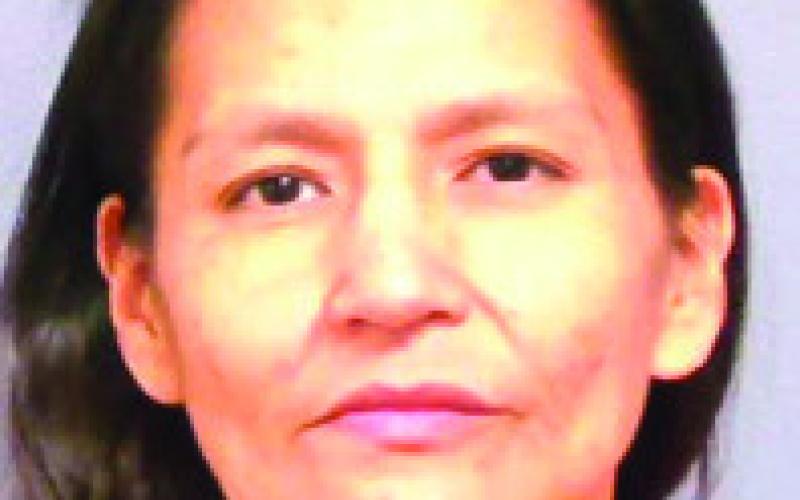 ELIZABETH MCCLELLAN Carney - Possession of a controlled substance, Public Intoxication.