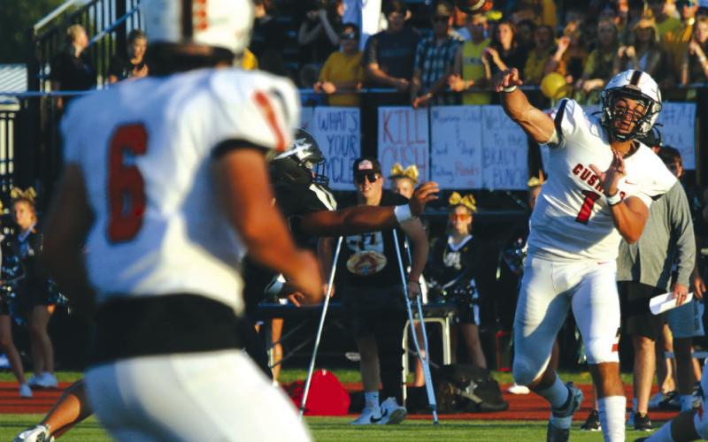 Cushing defeats Perkins