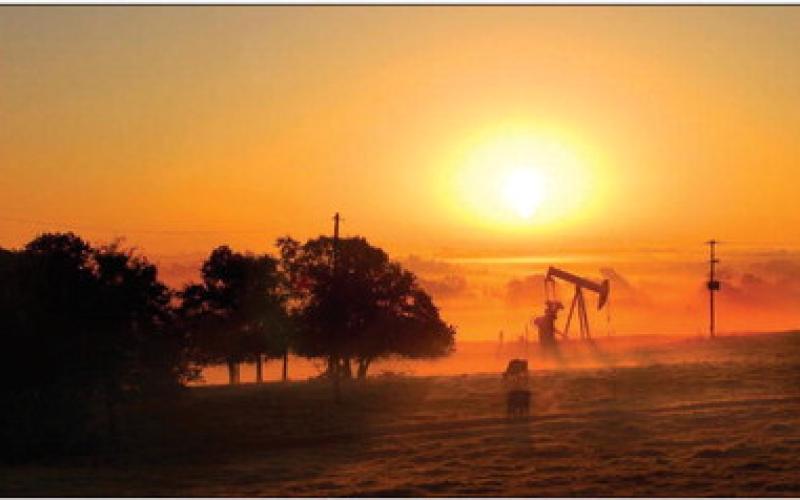 ENERGY WATCH
