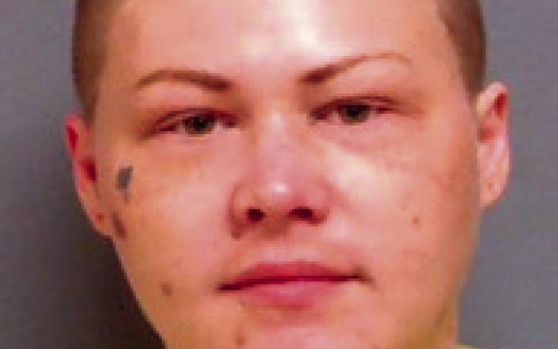 BRITTANY FLINT Stillwater trafficking in illegal drugs - larceny of auto aircraft or other motor vehicle - larceny of merchandise from retailer receive, possess or conceal stolen property