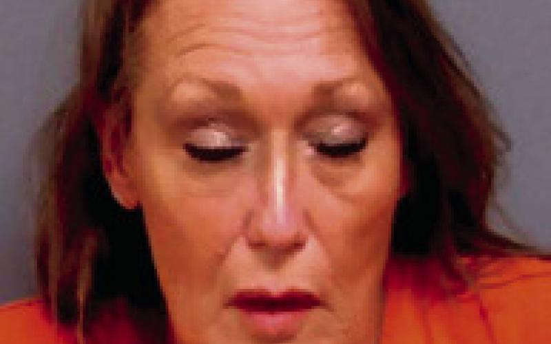DEANA GREEN Carney - driving under suspension - driving with license canceled, suspended or revoked x2 - DUI: second offense in 10 years resisting executive officer