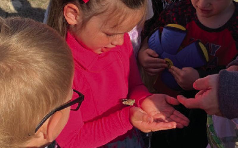 Isla Nugent gently cradles the recently transformed butterfly the Pre-K students at CPS were able to observe while learning about life cycles as one of the many hands-on projects the students participate in throughout the year.