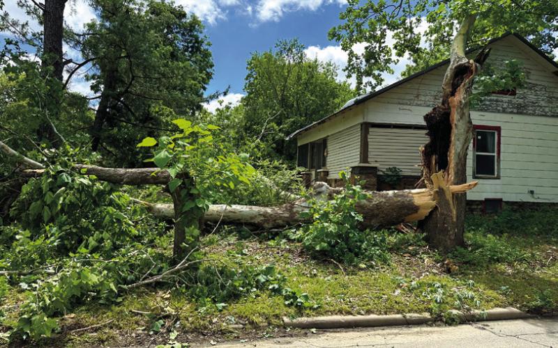 The bulk of a massive tree lies across a front yard on Steele Street in Cushing, Sunday, the morning after severe storms brought winds in excess of 80 miles an hour to the area. More photos inside. Photo by MaryLee Meisner