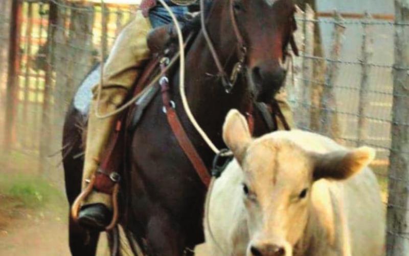 Western Oklahoma Ranch Horse Association