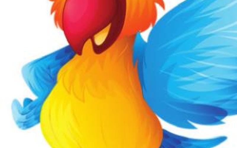 Tropical birds