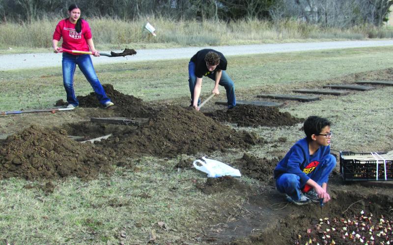 Agra School Superintendent Jeff Kelly supervises district students — Bella McIntire, Garrett Smith, Jayden Kelly, Trey Kelly, and Talyne Iverson as they plant 2,000 tulip bulbs over winter break. This project is a continuation from last year when the district sold tulips as a fundraiser. Kelly said he is expecting 1,000 bulbs from last year to return for a total of 3,000-tulips ready to be sold come Easter. Cost is expected to be $3 each or $10 for four, bulb included. Photo by DeAnna Maddox