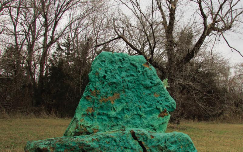 Shamrock tradition continues on March 15