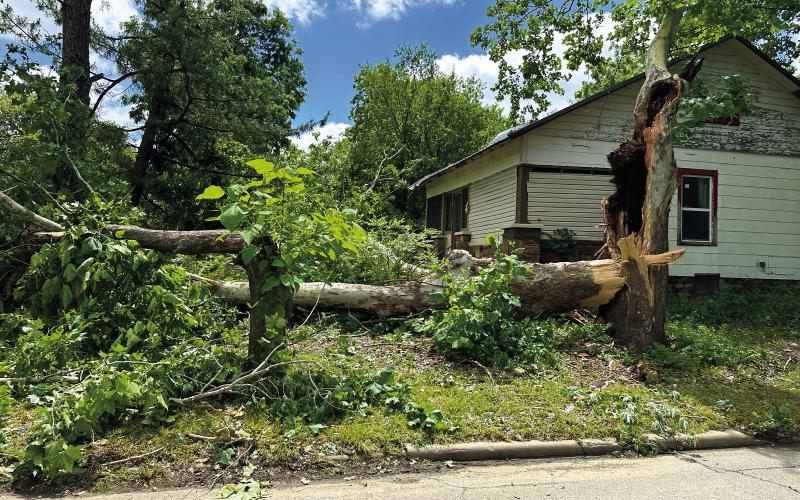 The bulk of a massive tree lies across a front yard on Steele Street in Cushing, Sunday, the morning after sever storms brought winds in excess of 80 miles an hour to the area. More photos inside. Photo by MaryLee Meisner