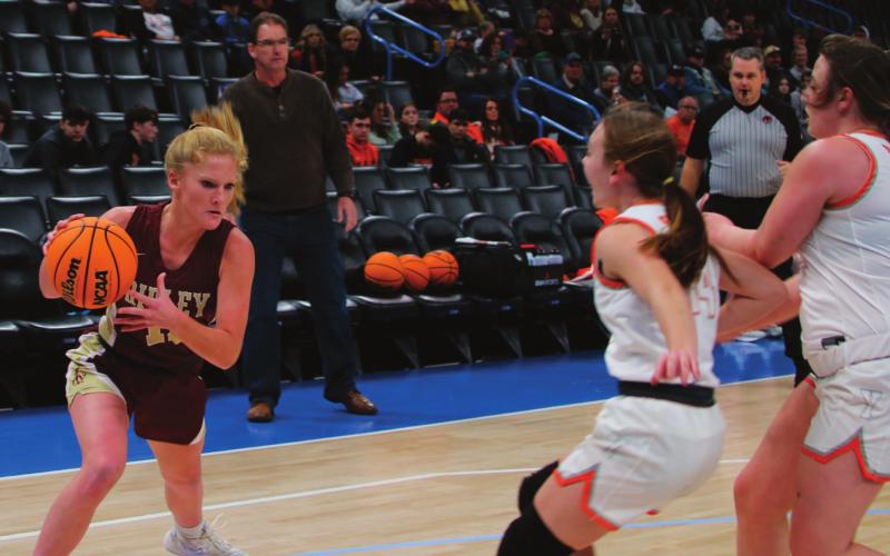 Ripley Hoops
