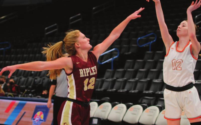 Ripley Hoops