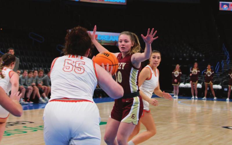 Ripley Hoops