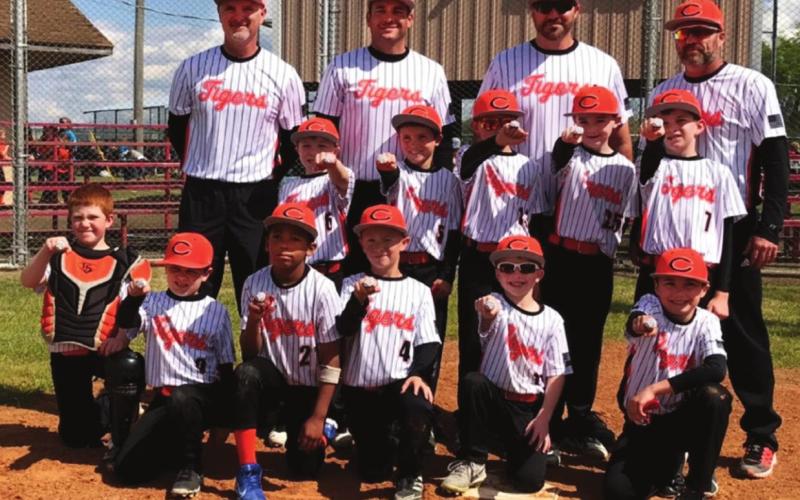 8U Tiger boys take first, girls take second at Dewey tourney
