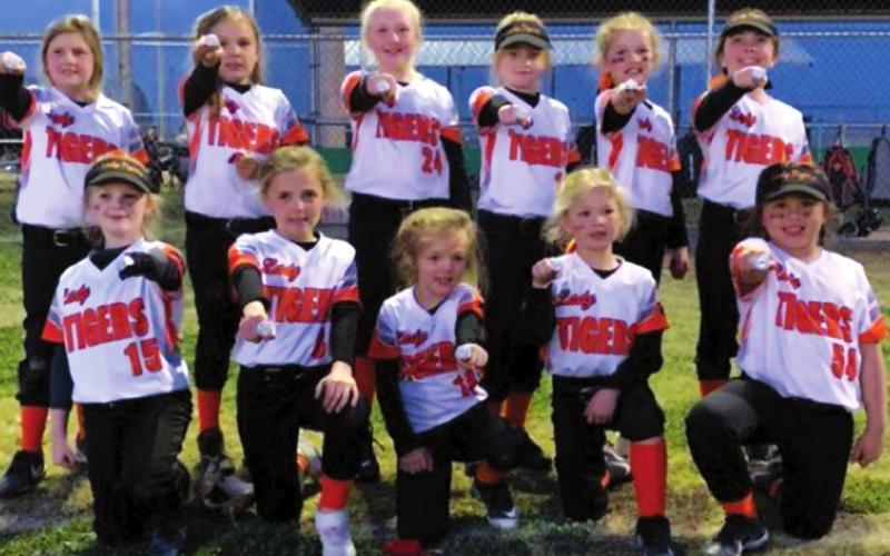 8U Tiger boys take first, girls take second at Dewey tourney