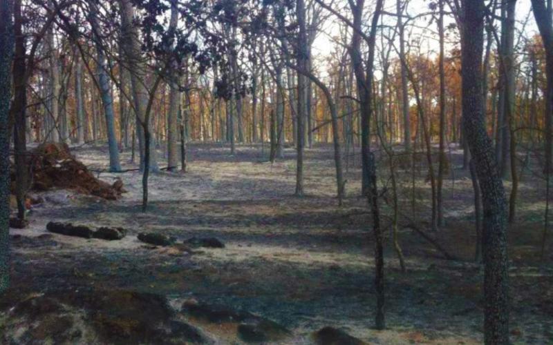 Pictured is what remained standing in the woods close to Oak Grove school after one of the fires that Cushing and Drumright fire departments fought against together in August 2012, courtesy of Drumright Fire Department.