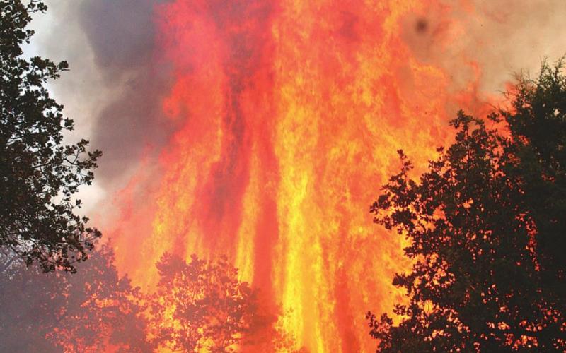 Fire crowns through trees northeast of Drumright during the devastating fires that burned a swath of destruction cross Creek County 10 years ago.