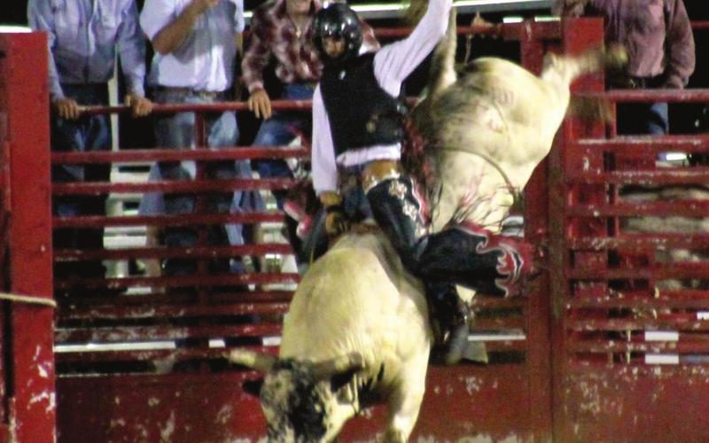 Donald Holmes, from Geronimo, holds on tight trying hard to meet that eight second qualifying time for bull riding on July 16.