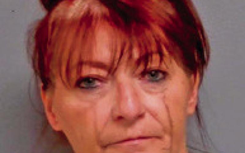 LEESA HICKS Coyle - driving with license canceled, suspended or revoked-DUI:drive under the influence of any schedule 1 chemical or controlled substance-possession of controlled substance-possession of paraphernalia