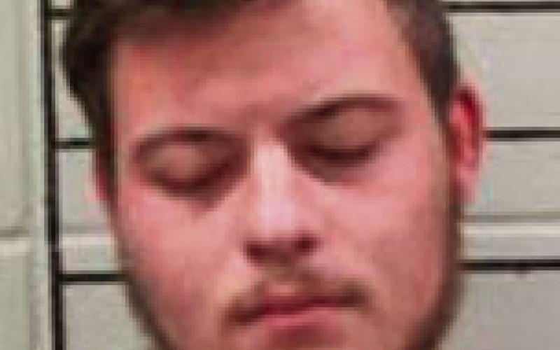 TYLER RAY HEINE — 23 Domestic assault and battery