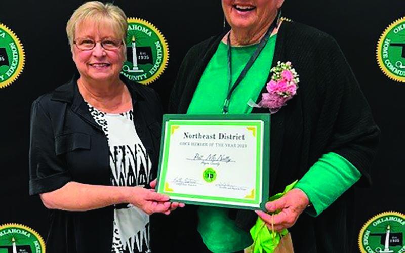 Pat McNally (right), a Payne County OHCE member, was named the Northeast District Home and Community Education Outstanding Member at the recent district meeting in Glenpool on March 26. Presenting her award is Kathy Fentress, State OHCE President.